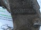  Кронштейн коробки переключения передач правый